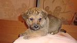    
: DSC09859.jpg
: 8
:	74.9 
ID:	8489539