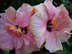    
: DSC05551.JPG
: 12
:	231.1 
ID:	8490608