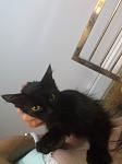     
: 20140726_194332.jpg
: 4
:	50.3 
ID:	8490996