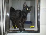     
: 20140726_194637.jpg
: 5
:	82.7 
ID:	8490997