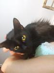     
: 20140726_194404.jpg
: 5
:	35.1 
ID:	8490998