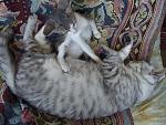     
: DSCF2878.jpg
: 14
:	202.3 
ID:	8492200