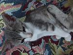     
: DSCF2884.jpg
: 20
:	156.5 
ID:	8492211
