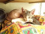     
: DSCF2822.jpg
: 25
:	122.6 
ID:	8492325