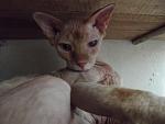     
: DSCF2868.jpg
: 28
:	91.5 
ID:	8492369