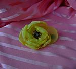     
: DSC_0023.jpg
: 98
:	140.3 
ID:	8493912