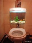     
: 75449599_1229266484_creativeaquariums07.jpg
: 8
:	28.3 
ID:	8493997