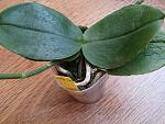     
: 20140801_161128.jpg
: 20
:	148.8 
ID:	8494788