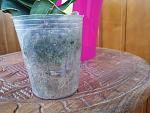     
: 20140801_161203.jpg
: 16
:	132.9 
ID:	8494795