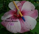     
: CIMG7377.jpg
: 30
:	134.4 
ID:	8495273