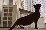    
: _DSC0056.jpg
: 21
:	103.7 
ID:	8495874