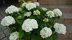     
: DSC05288.JPG
: 6
:	205.3 
ID:	8499006
