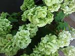     
: DSC05556.jpg
: 6
:	115.0 
ID:	8499007