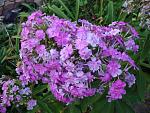    
: DSC05555.JPG
: 5
:	298.1 
ID:	8499025
