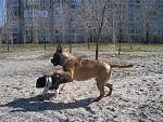     
: 0a69e254153a.jpg
: 42
:	101.1 
ID:	850034