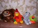     
: DSCN4351.JPG
: 15
:	289.2 
ID:	8502886