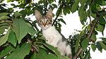     
: DSC02761.jpg
: 14
:	156.8 
ID:	8506486