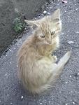     
: IMG_20140731_151020.jpg
: 30
:	99.0 
ID:	8506661