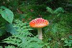     
: DSC_0894.jpg
: 24
:	168.6 
ID:	8509768
