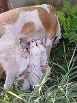     
: image-6788043d63e26802a0a6252c471f7b7be0dfc671ed7a7f2ebd1082e58ac5a2b9-V.jpg
: 6
:	129.7 
ID:	8511979
