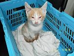     
: SAM_3411.jpg
: 8
:	139.6 
ID:	8514149