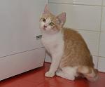     
: _DSC0004.jpg
: 24
:	74.9 
ID:	8514154