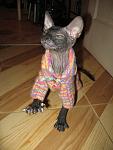     
: IMG_6266.jpg
: 100
:	90.7 
ID:	851829