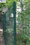     
: IMG_8933.jpg
: 2
:	114.8 
ID:	8518388