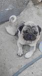     
: uploadfromtaptalk1407484953411.jpg
: 24
:	73.3 
ID:	8518606
