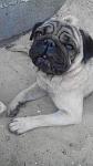     
: uploadfromtaptalk1407484972445.jpg
: 26
:	73.2 
ID:	8518608