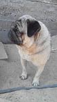     
: uploadfromtaptalk1407484993469.jpg
: 25
:	63.6 
ID:	8518612