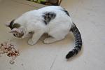     
: DSC_0610.jpg
: 253
:	109.4 
ID:	8519391