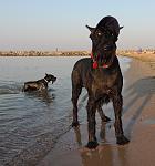     
: attachment.jpg
: 14
:	121.4 
ID:	8522200