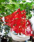     
: IMG_0011.jpg
: 17
:	175.1 
ID:	8522239