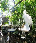     
: IMG_0029.jpg
: 34
:	208.9 
ID:	8522247