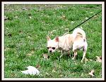     
: IMG_4577.jpg
: 98
:	254.1 
ID:	8523238