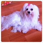     
: IMG_2473.jpg
: 10
:	100.0 
ID:	8524366