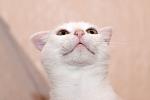     
: DSC_1844.jpg
: 3
:	41.6 
ID:	8524858