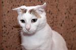     
: DSC_1865.jpg
: 3
:	82.9 
ID:	8524867