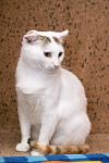     
: DSC_1864.jpg
: 4
:	61.5 
ID:	8524869