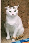     
: DSC_1862.jpg
: 3
:	73.9 
ID:	8524870