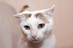     
: DSC_1849_1.jpg
: 3
:	66.8 
ID:	8524871