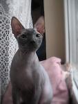     
: IMG_6600.jpg
: 41
:	67.6 
ID:	852574