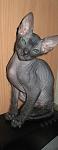     
: IMG_6119.jpg
: 92
:	49.0 
ID:	852579