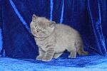     
: IMG_2825.JPG
: 16
:	280.9 
ID:	8527123
