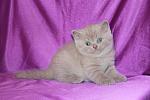     
: IMG_2566.JPG
: 14
:	186.8 
ID:	8527127