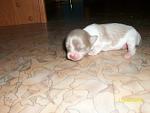     
: 6OQQWZR-yDQ.jpg
: 12
:	36.9 
ID:	8528604