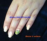     
: IMG_0204 3 недели стреко.jpg
: 1054
:	105.1 
ID:	8529861