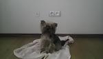     
: IMAG0727.jpg
: 21
:	31.9 
ID:	8530586