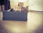     
: 2014-08-10 16.21.53-1.jpg
: 18
:	109.9 
ID:	8530866